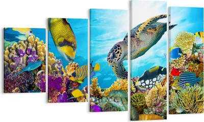 Produktbild von Bild auf Leinwand - Leinwandbild - Riff Koralle Fisch - 100x60cm - Wand Bild - Wanddeko - Leinwanddruck - Bilder - Kunstdruck - Wanddekoration - Leinwand bilder - Wandkunst - EG100x60-3704