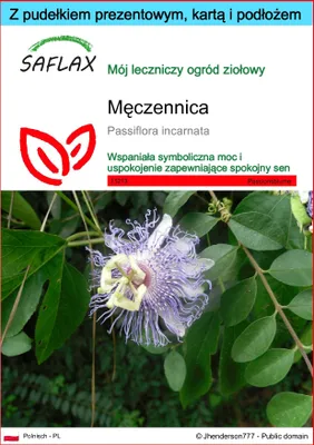 Zdjęcie produktu dla SAFLAX - Męczennica - 5 Nasiona - Passiflora incarnata