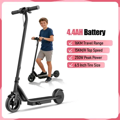 Produktbild von AOVOPRO LP65 E-Scooter 250W Motor faltbar Elektroroller