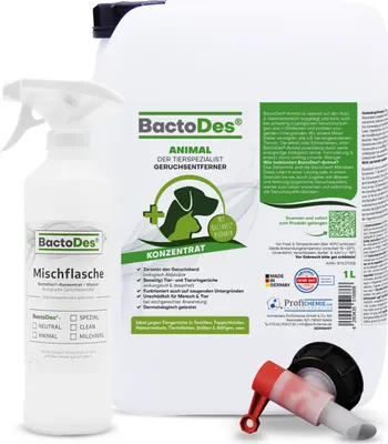 Produktbild von BactoDes Animal Konzentrat 10 L Kanister inkl. 1 Misch- und Sprühflasche