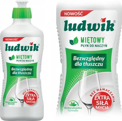 Two bottles of Ludwik mint dish soap are shown side-by-side against a white background.