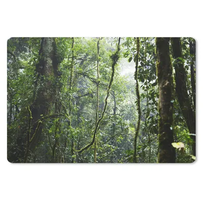 Produktbild von MuchoWow® Schreibtischunterlage Tropischer Regenwald 60x40 cm - XXL Mauspad - Großes Mauspad