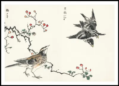Zdjęcie produktu dla Plakat 100x70cm Dosky Thrush, Kashu Japoński Vintage do Salonu