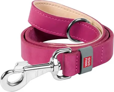 Produktbild von Waudog Leder-Hundeleine, 25 mm, 122 cm, Rosa