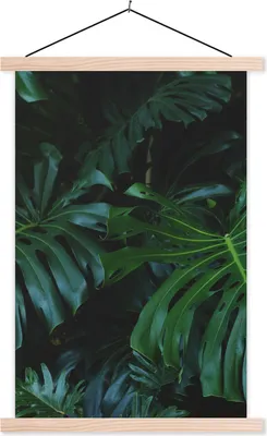 Produktbild von MuchoWow® Textilposter Dschungel - Grün - Blätter 40x60 cm mit holzfarbenen Rahmen - Poster