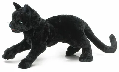 Produktbild von Folkmanis Handpuppe Schwarze Katze 2987