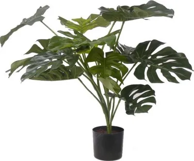 Produktbild von Bellatio Blumen & Pflanzen Kunstliche Pflanze - Monstera - grun - 85 cm