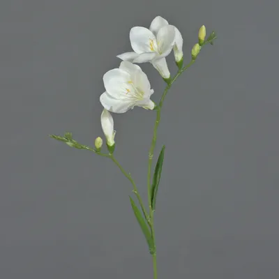 Produktbild von artplants.de Kunst Freesie MARUSHA, weiß, 65cm, Ø7cm - Seidenpflanze