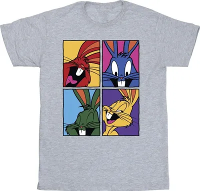 Produktbild von Looney Tunes - T-Shirt für Herren BI36573 (XXL) (Grau)