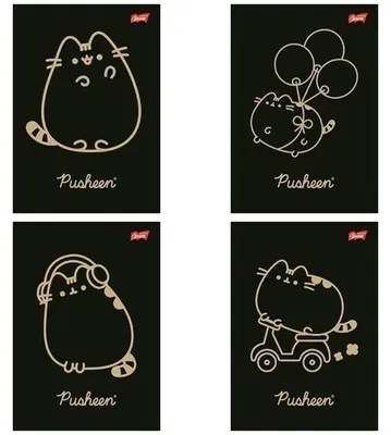 Zdjęcie produktu dla Zeszyt A5 60 kartek kratka Pusheen okładka laminowana Unipap