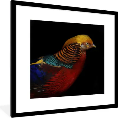 Produktbild von MuchoWow® Gerahmtes Poster Vogel - Federn - Schwarz - Porträt 40x40 cm - Poster mit Schwarzem Bilderrahmen Wandposter Rahmen Foto Bilder - Poster - Plakat im Rahmen