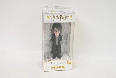 Image de Minix HARRY POTTER - HARRY POTTER