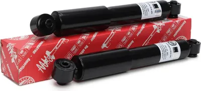 Produktbild von MS 16K005692 Stoßdämpfer Hinterachse für HYUNDAI i10 I (PA)