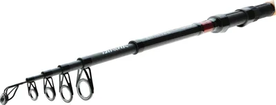 Image de DAIWA Ninja X Tele Carp, 3,65m, 11,98ft, 3,00lbs, 6 pièces, canne à carpe télé, progressive, 11597-365