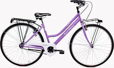 Immagine prodotto di F.lli Schiano Mario Schiano City Bike 28" - Bici Da Città, Donna, Ruote 28", Cambio 1 Velocità, Telaio Acciaio, Con Accessori - Colore Glicine