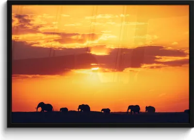 Produktbild von MuchoWow® MuchoWow® Gerahmtes Poster Elefanten - Horizont - Sonnenuntergang - Tiere 90x60 cm - Poster mit zchwarzem Bilderrahmen - Fotorahmen - Foto-Plakat