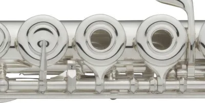 Image de Yamaha YFL 312
