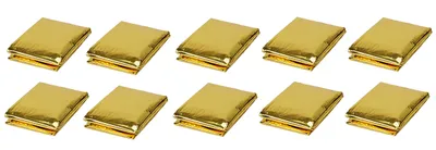 Produktbild von 10x RETTUNGSDECKE 160x210cm Gold/Silber Rettungsfolie Notfalldecke Erste Hilfe 76 (10 Stück)