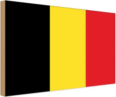 Produktbild von vianmo Holzschild 12x18 cm Belgiens Belgium Flagge Fahne Wappen