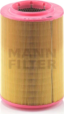 Immagine prodotto di Filtro aria MANN-FILTER C 17 201/3