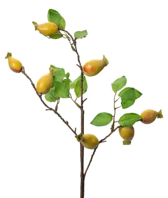 Image de Clayre & Eef Fleur artificielle 50 cm jaune plastique