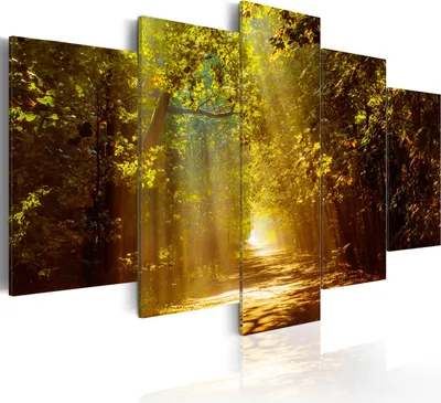 Produktbild von Leinwandbilder 200x100 cm Vlies Leinwandbild 5 tlg Kunstdruck modern Wandbilder XXL Wanddekoration Design Wand Bild - Weg Natur Sonne Sonnenschein c-A-0087-b-o