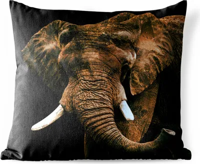 Produktbild von MuchoWow® Outdoor Kissen - Elefant - Braun - Zähne - 45x45 cm - Wetterfest - Lounge Kissen - Fotokissen - Dekoratives Kissen