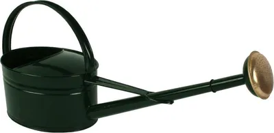 Productafbeelding van Talen Tools - Gieter - Metaal - Ovaal - 5L - Groen