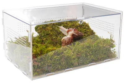 Zdjęcie produktu dla Zestaw do terrarium dla ślimaków z akcesoriami do wspinaczki, wymiary: 28,5 x 20 x 15,2 cm, przezroczysty