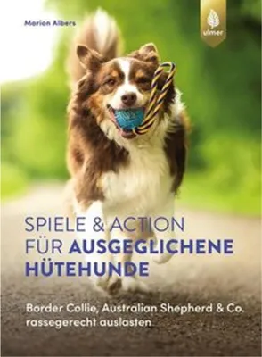 Image de Spiele und Action für ausgeglichene Hütehunde