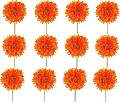 Produktbild von 12er Set künstliche Gerbera orange H. 60cm mit fülliger Blüte GASPER Kunstblumen