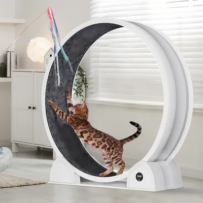 Produktbild von Hochwertiges Katzen-Laufrad aus ABS mit Digitalanzeige, leises Fitness Laufrad für Hauskatzen, Weiß