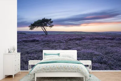 Produktbild von MuchoWow® Fototapete für Wohnzimmer oder Schlafzimmer Wandtapete Vinyl Motivtapete Baum in der Heidelandschaft - 360x240 cm - Vinyl-Tapete