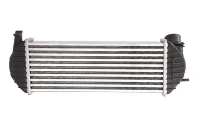 Obrázek produktu pro Chladicí kapalina THERMOTEC do expanzní nádoby pro RENAULT SCÉNIC II (JM0/1) DBR005TT