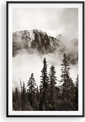 Produktbild von Gerahmtes Poster - Schwarzer Rahmen - Nebel Berg Wald - 61x91,5 cm - Wand Bild - Wanddeko - Wandbilder - Kunstposter - Wandposter - Bilderrahmen - Bilder - Kunstdruck Wanddekoration - P2BPA61x91-4936