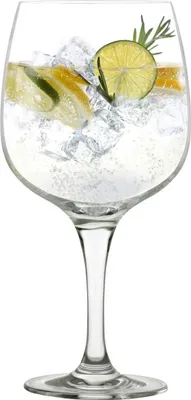 Produktbild von Stölzle Lausitz Gin Tonic 6er set