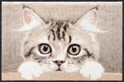 Produktbild von Salonloewe NOSY CAT Fußmatte Wohnmatte 50 x 75 cm