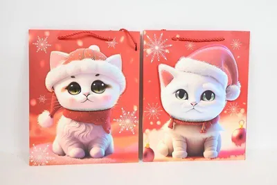 Produktbild von Geschenktüte in WK 22428 M 61422