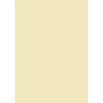 Produktbild von BRUNNEN Universalpapier A4 80g chamois 50 Blatt 105125011