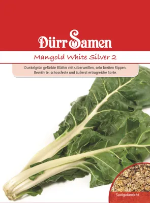 Produktbild von Stielmangold White Silver 2 | Stielmangoldsamen von Dürr Samen
