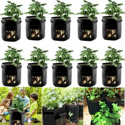 Image de 10 sacs de plantes, sac de plantation de pommes de terre 7 gallons avec poignées et fenêtre, respirant sac de légumes Grow Bag sac de plantation pour carottes/oignons/légumes (noir)