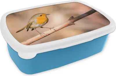 Produktbild von KitchenYeah® Lunchbox Brotzeit Brotdose 17x11 cm Vogel - Zweig - Rotkehlchen Kinder Brotzeitdose - Lunch - Kunststoff  - Brotbüchse - Sandwichbox - Lunchbox für Kinder