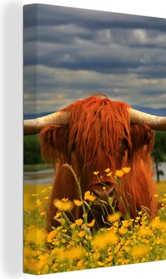 Produktbild von OneMillionCanvasses® - Leinwandbilder - 90x140 cm, Schottisches Hochlandrind - Tiere - Blumen, Wandbilder Kunstdruck Wanddekoration - Hochland Rind - Kuh - Gemälde auf Holzrahmen  - Wandschmucke - Schlafzimmer