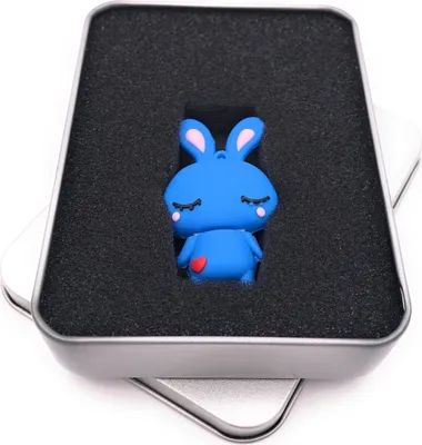 Image de Onwomania Lapin mignon mignon en bleu Clé USB en boîte cadeau alu 32 GB USB 3.0