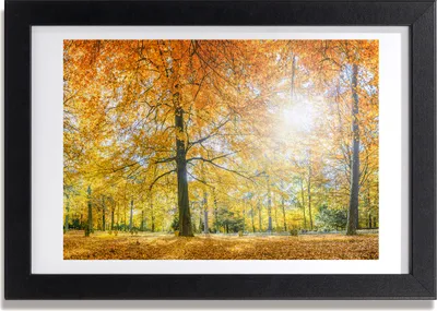 Produktbild von Bild 30x20 MDF-Rahmen, Wandkunst Wald im Herbst