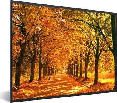 Produktbild von MuchoWow® Gerahmtes Poster Wald - Herbst - Jahreszeiten - Ländlich 40x30 cm - Poster mit Schwarzem Bilderrahmen Wandposter Rahmen Foto Bilder - Kunstposter - Wanddekorationen