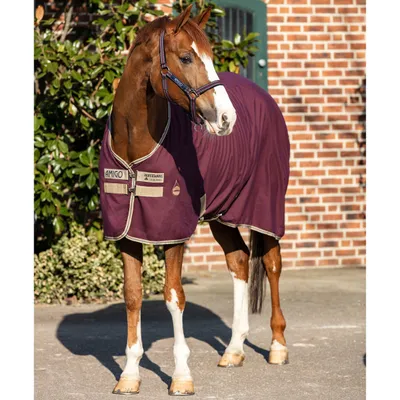 Produktbild von Horseware Amigo Stable Stalldecke 0g