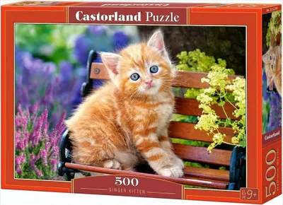 Obrázok produktu pre Castorland Ginger kitten 500 pcs, 500 kusov, Fauna, 9 rok / roky