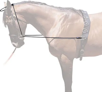 Image de Hispano Hipica Dressage Chambon élastique Golden  Golden Taille unique