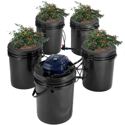 Image de Système hydroponique RDWC pour 20 litres, idéal pour la culture de légumes